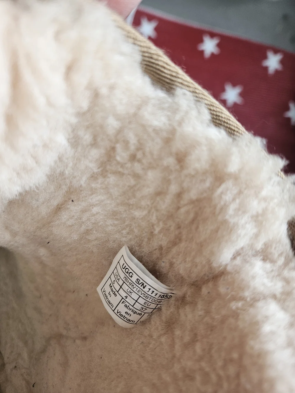 Ugg Sparkly Boots